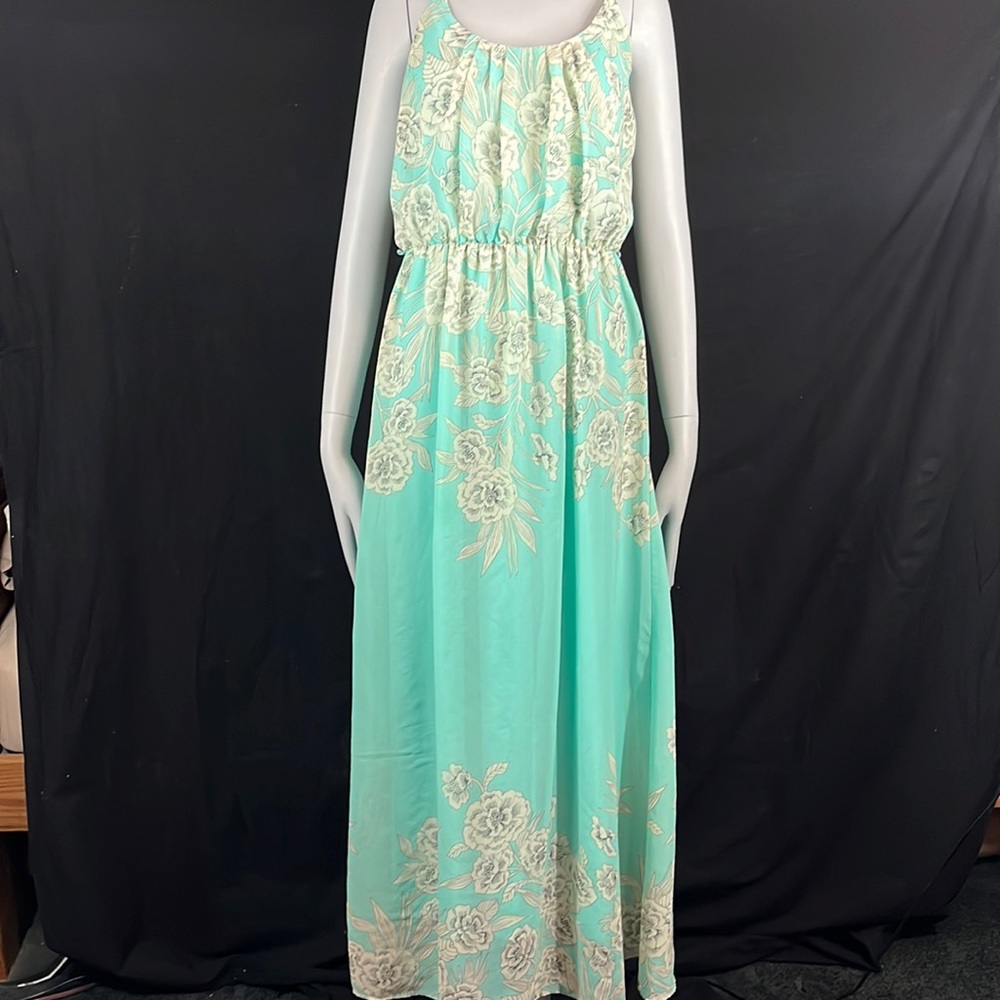 Lovely Eliza J Sleeveless Maxi Dress